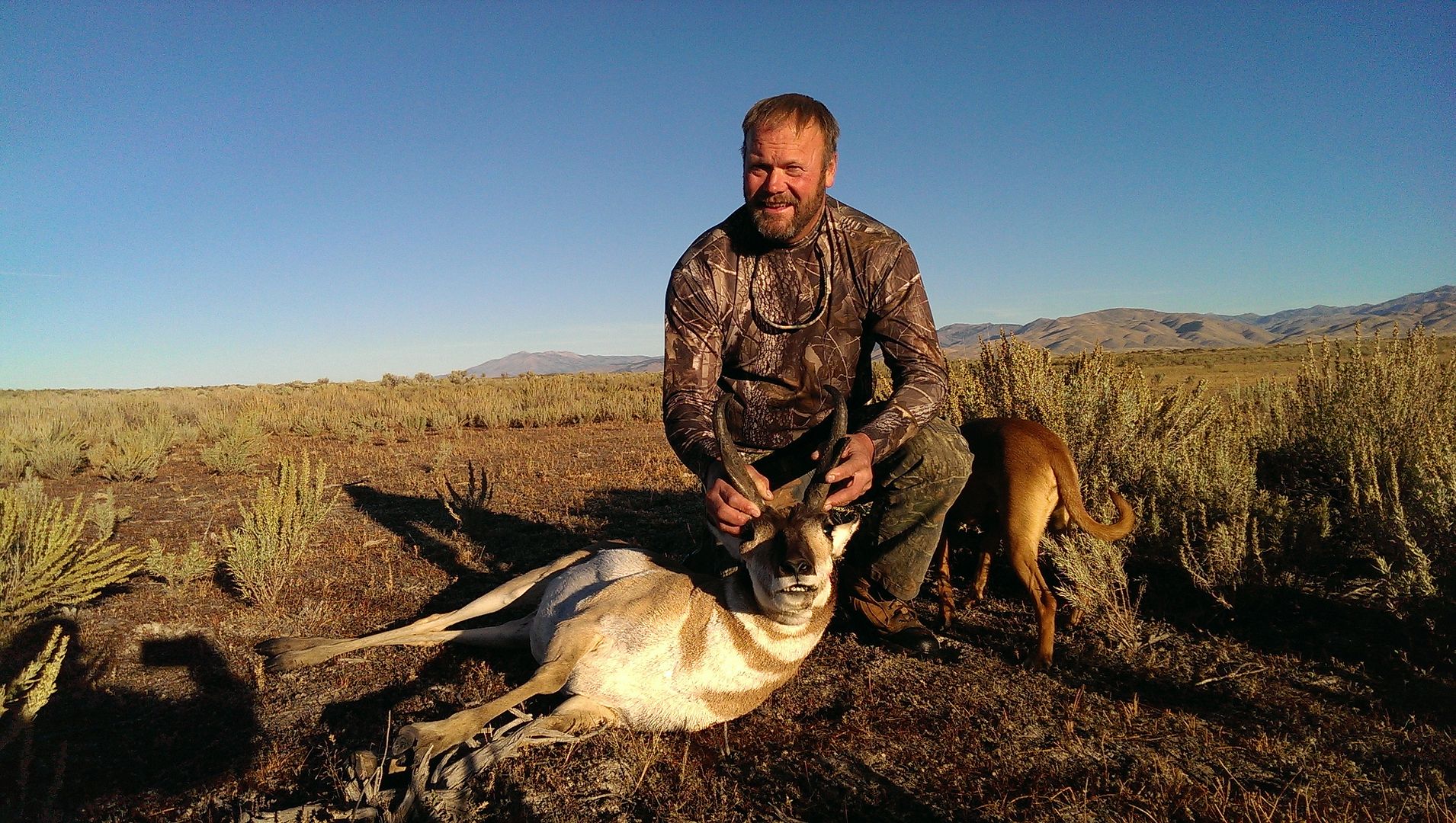 Idaho Pronghorn Hunt, 2016 Shooters Forum
